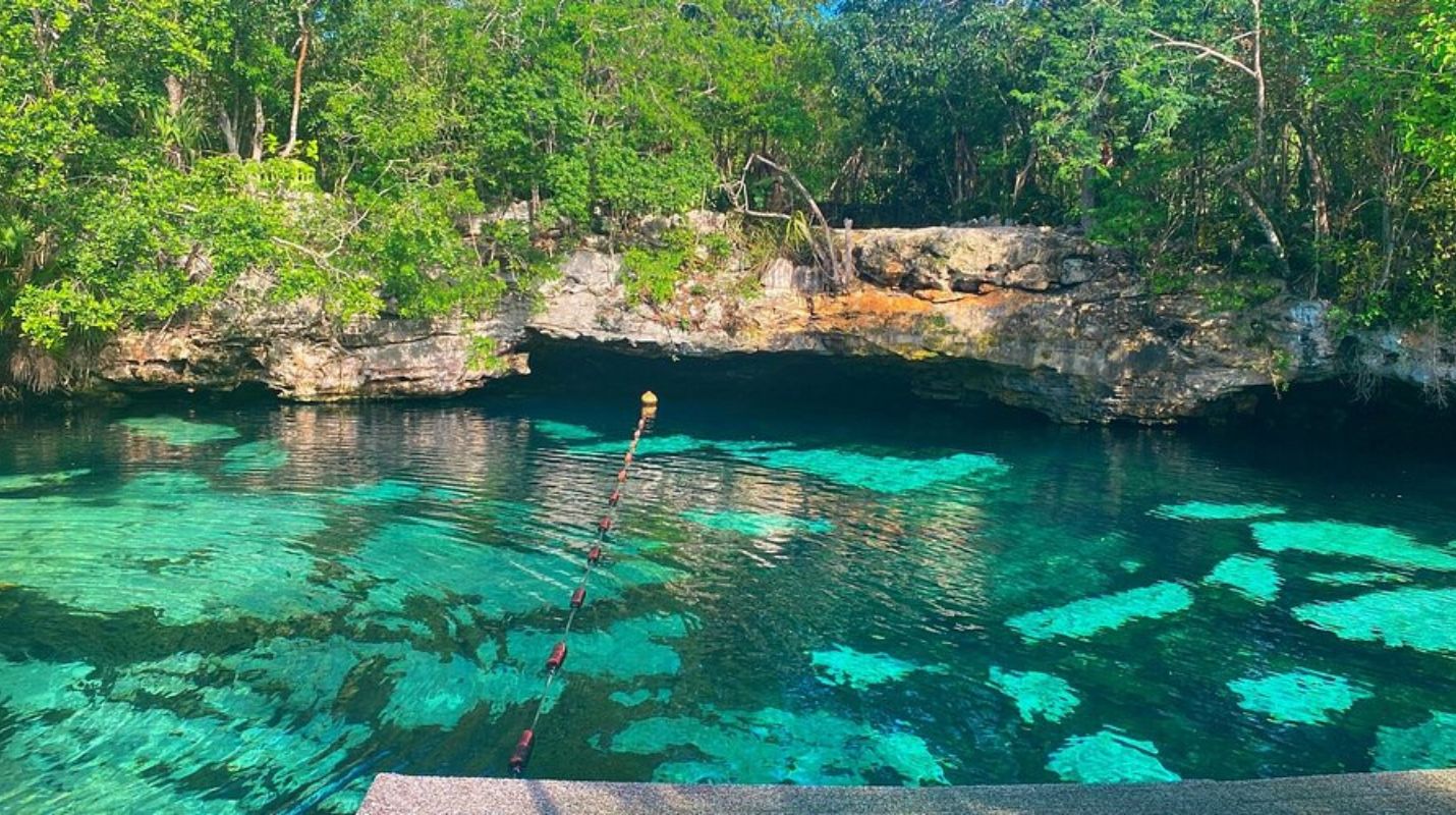 Cenote Azul Riviera Maya: Guía completa para visitarlo