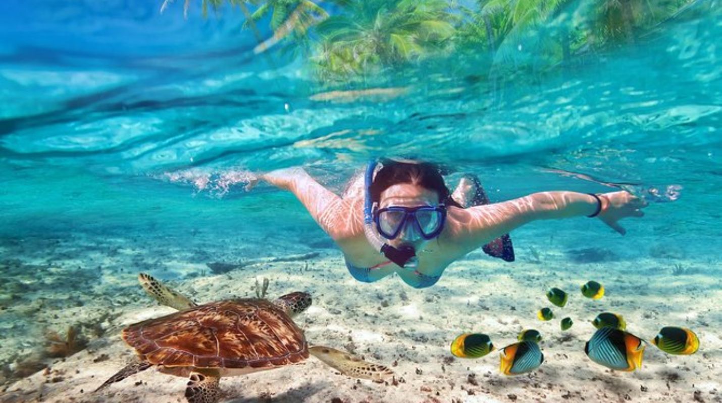 Descubre dónde hacer snorkeling en Isla Mujeres (2026)