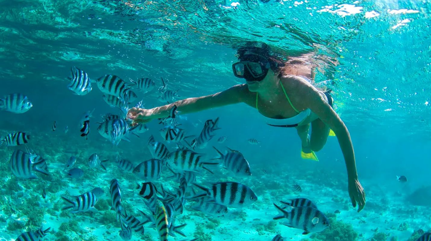 Dónde hacer snorkel en Cancún