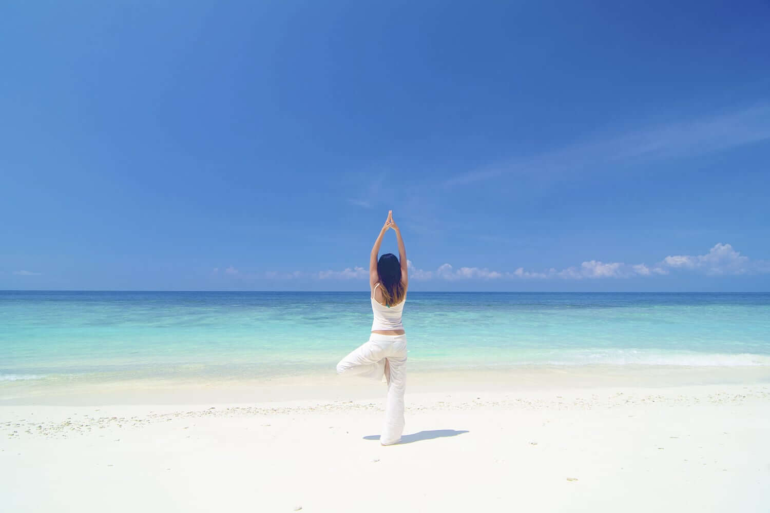 Gimnasio en la jungla: La experiencia fitness única de Tulum