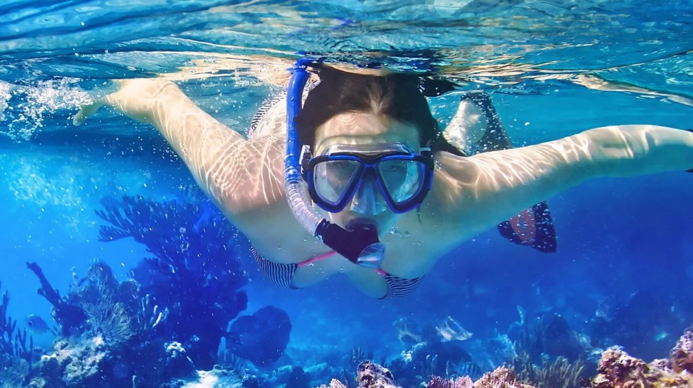 Guía Completa para hacer snorkel en Cancún