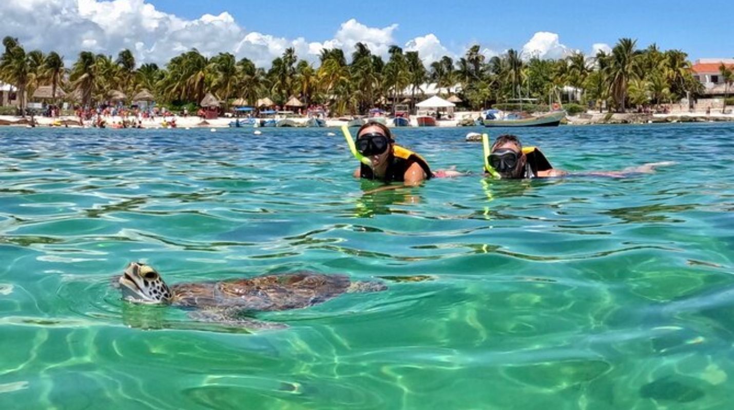 Nado con Tortugas en Akumal: Consejos para una Experiencia Segura y Memorable