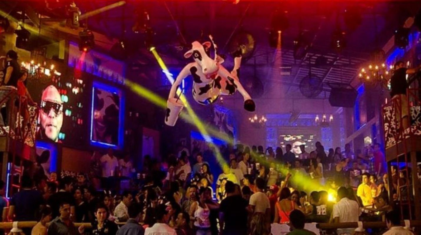 Playa del Carmen de Noche: Los Mejores Lugares para Disfrutar de la Vida Nocturna