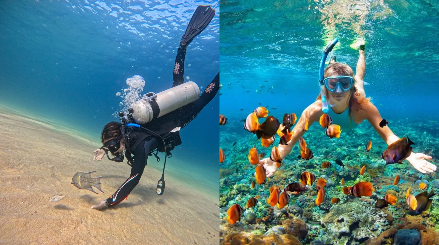 Snorkel vs Buceo: ¿Cuál es la mejor opción?