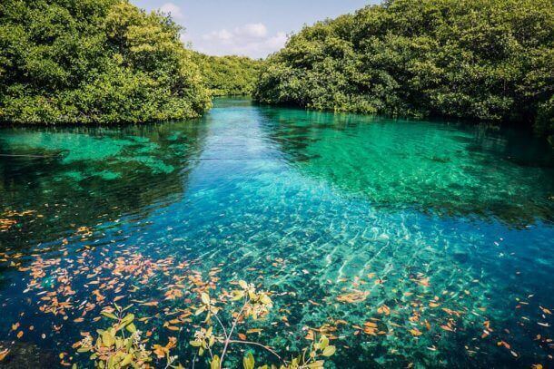 10 cenotes que debes visitar en la Riviera Maya