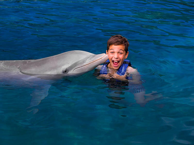Nado con delfines en Cancún