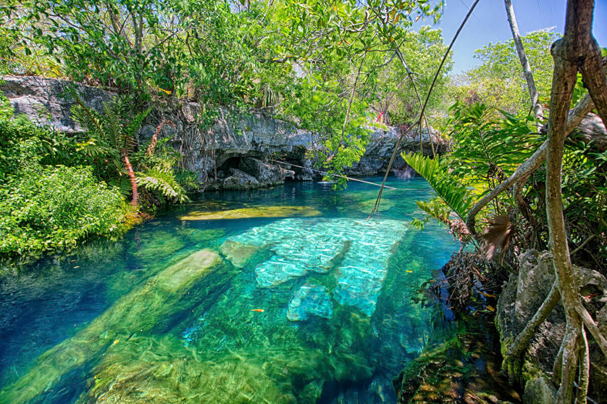 Cenote cristalino Riviera Maya