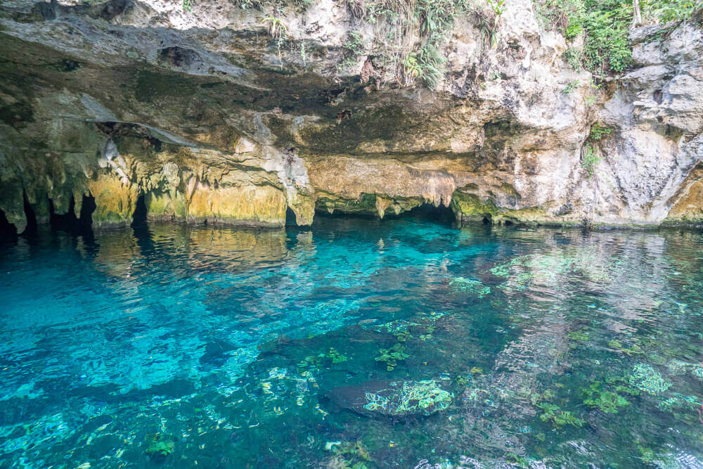 Gran cenote tulum Riviera Maya