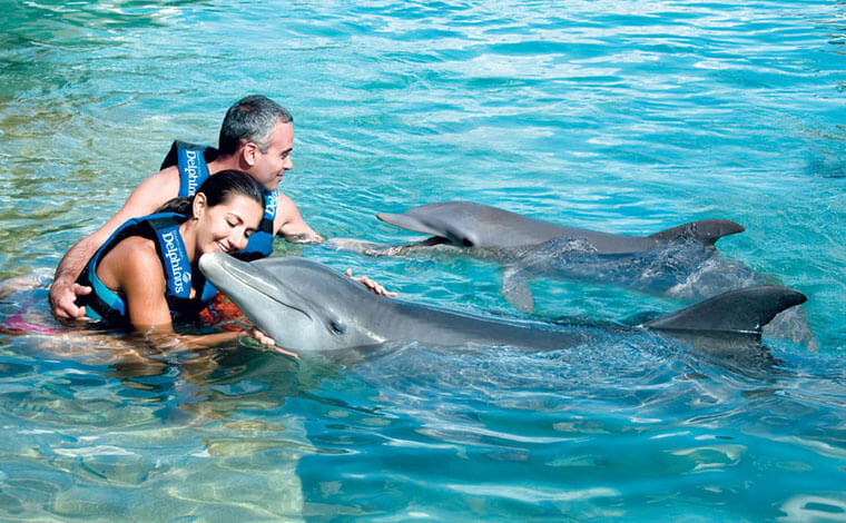 puerto morelos nado con delfines