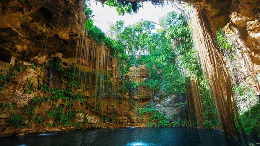cenote roots 