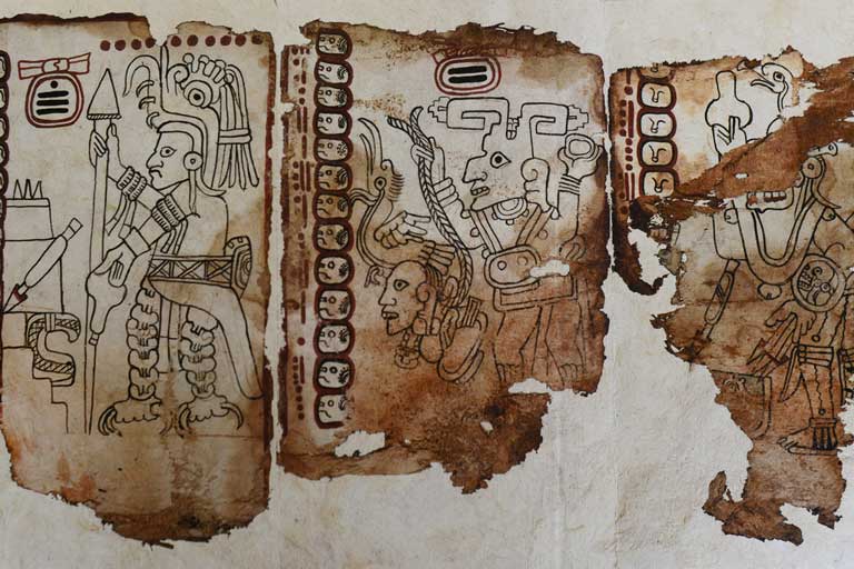 Pages of Mexico's Mayan Codex