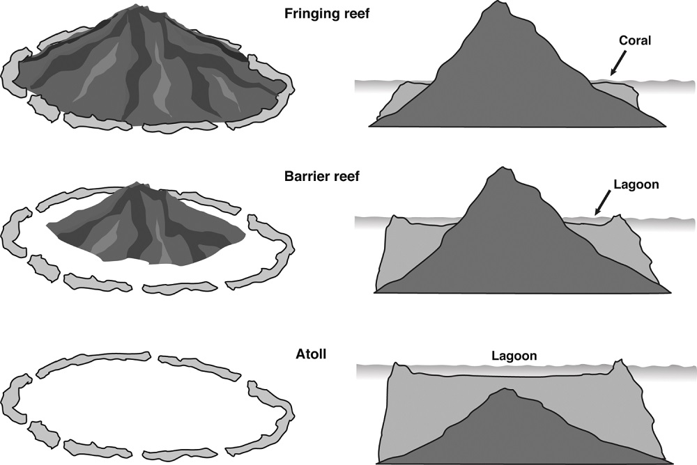 Types of coral reef formations