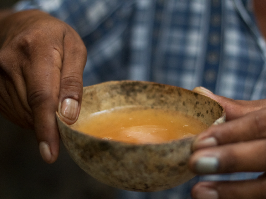 Balché Mayan ceremonial drink