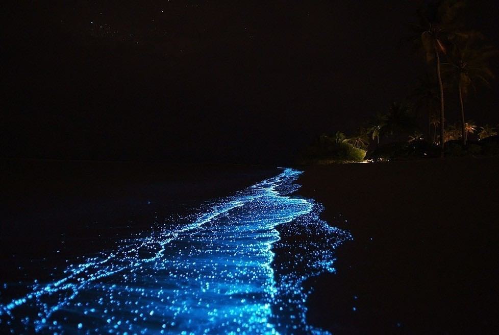 Holbox Island