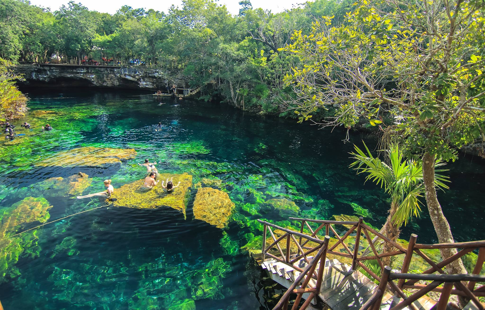 Cenote Jardín del Edén