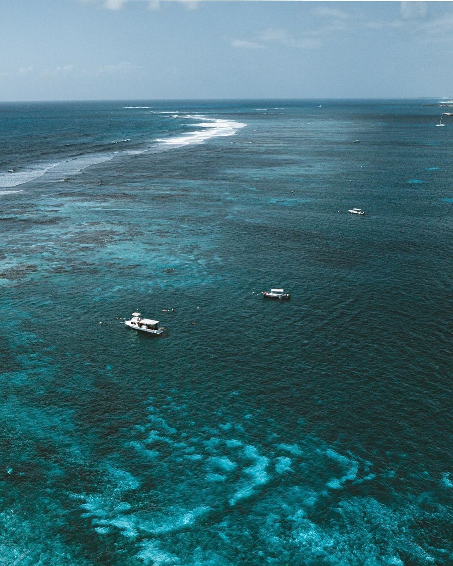 The reef