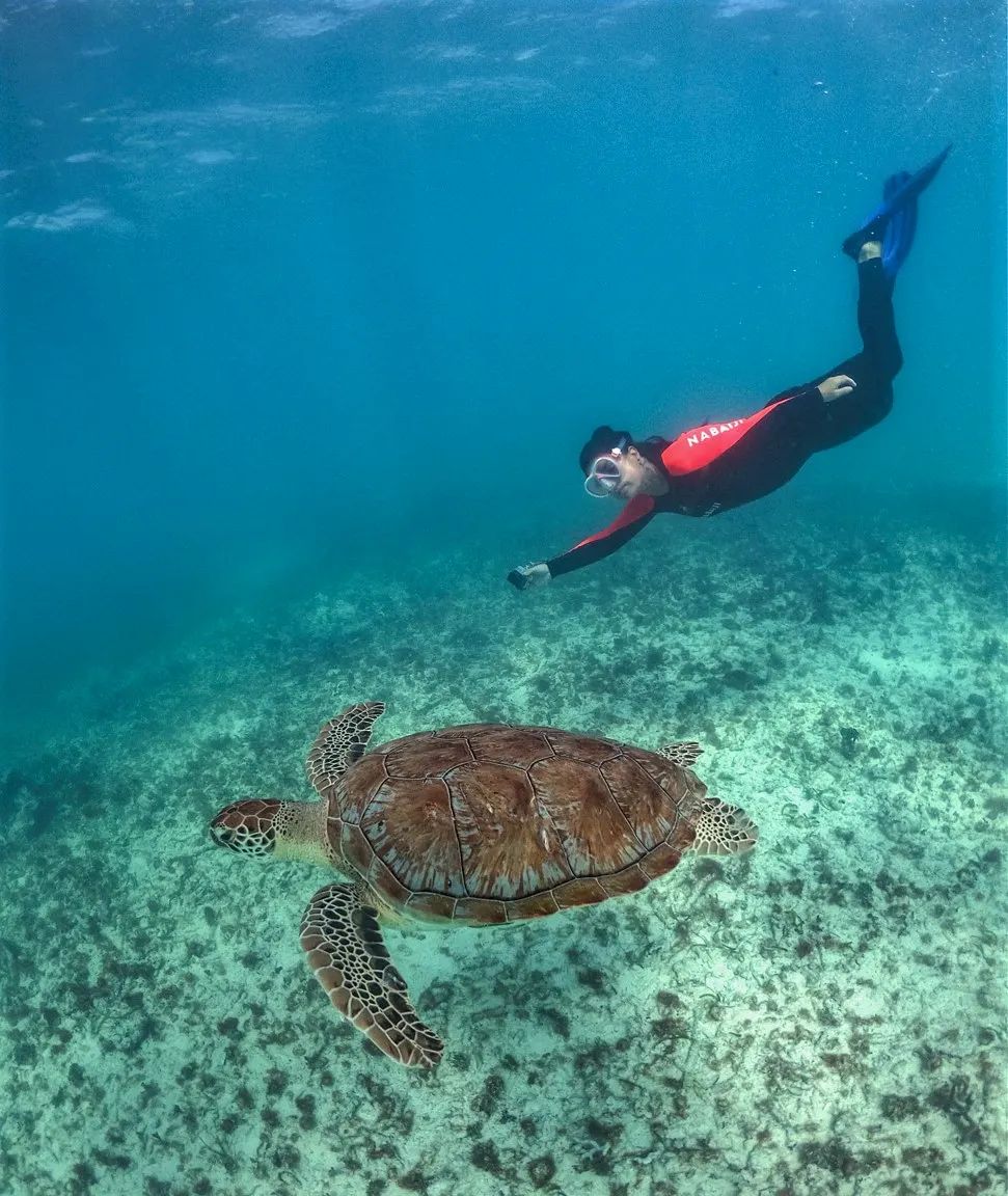 Snorkel