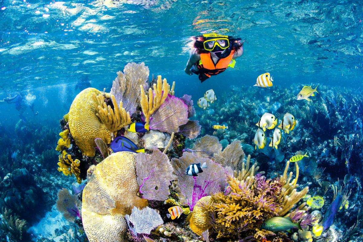 Cancun Snorkeling