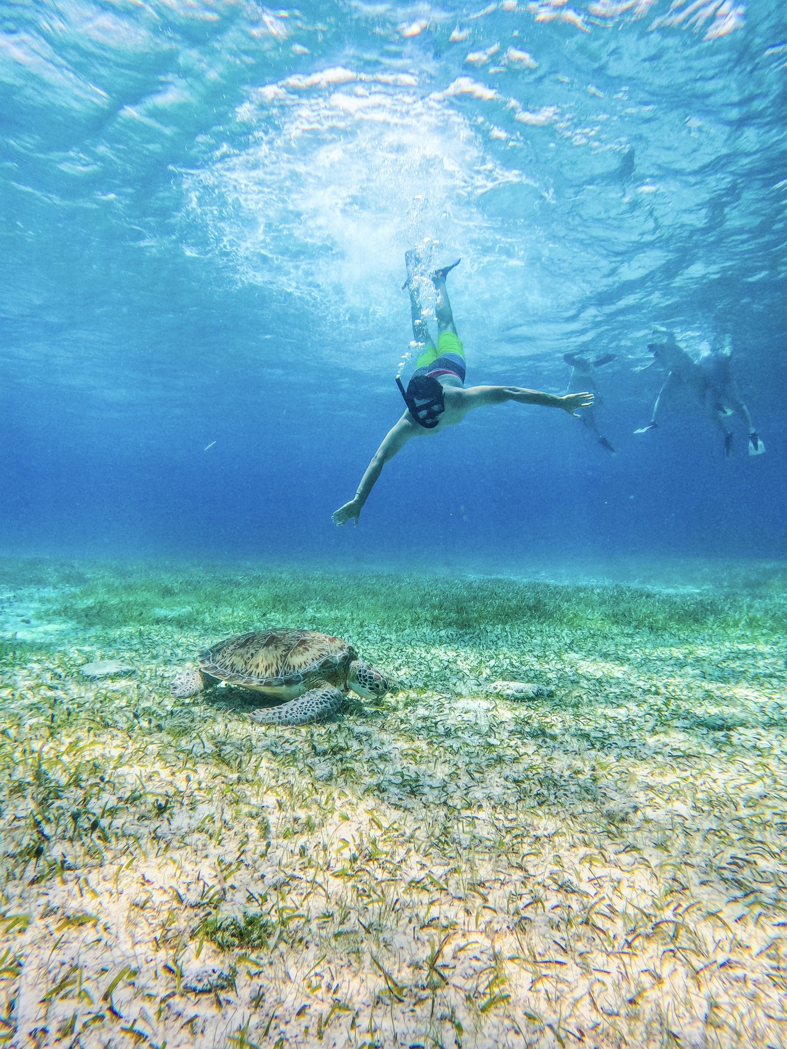 Spiritual Benefits and Connection with Nature