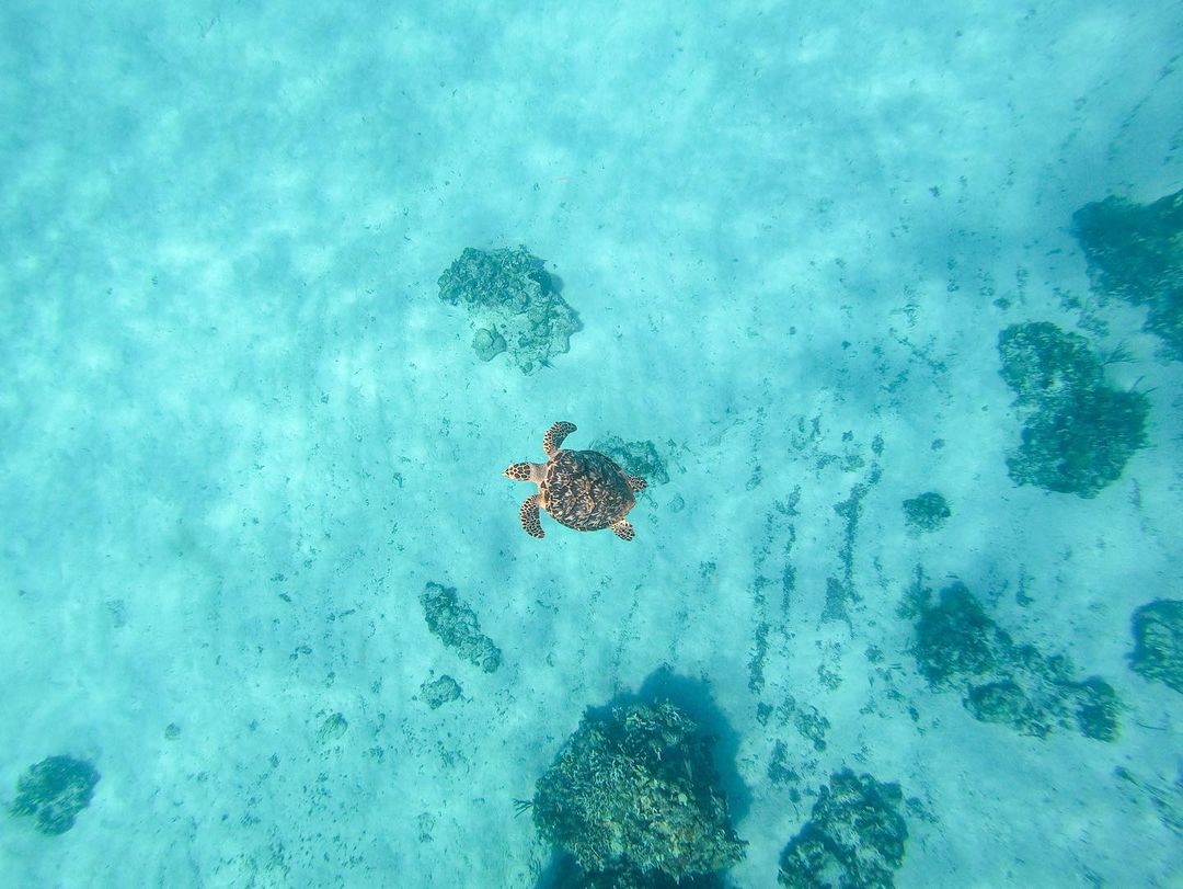 Cozumel