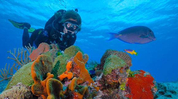 Snorkeling 