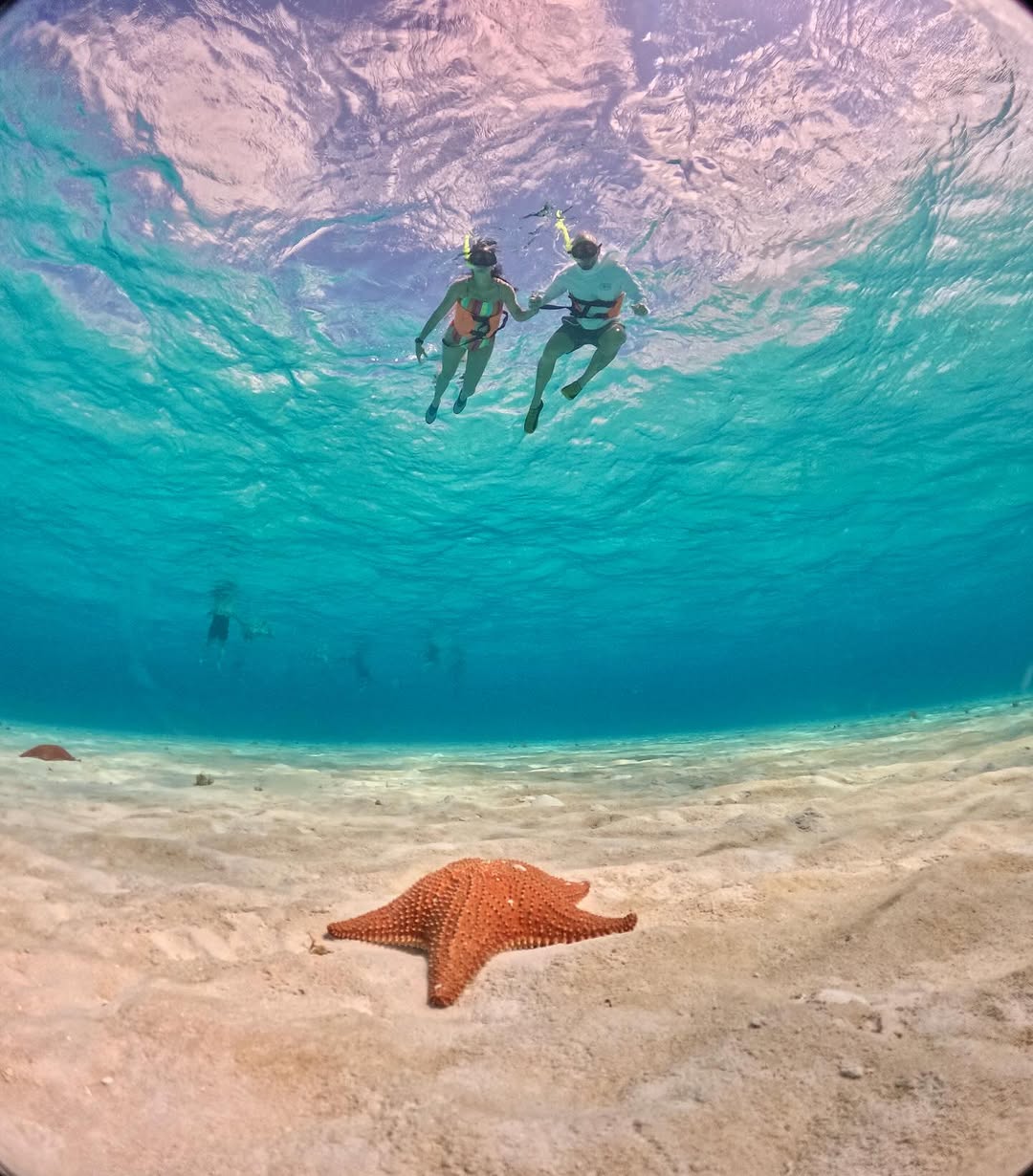 Island of Cozumel 