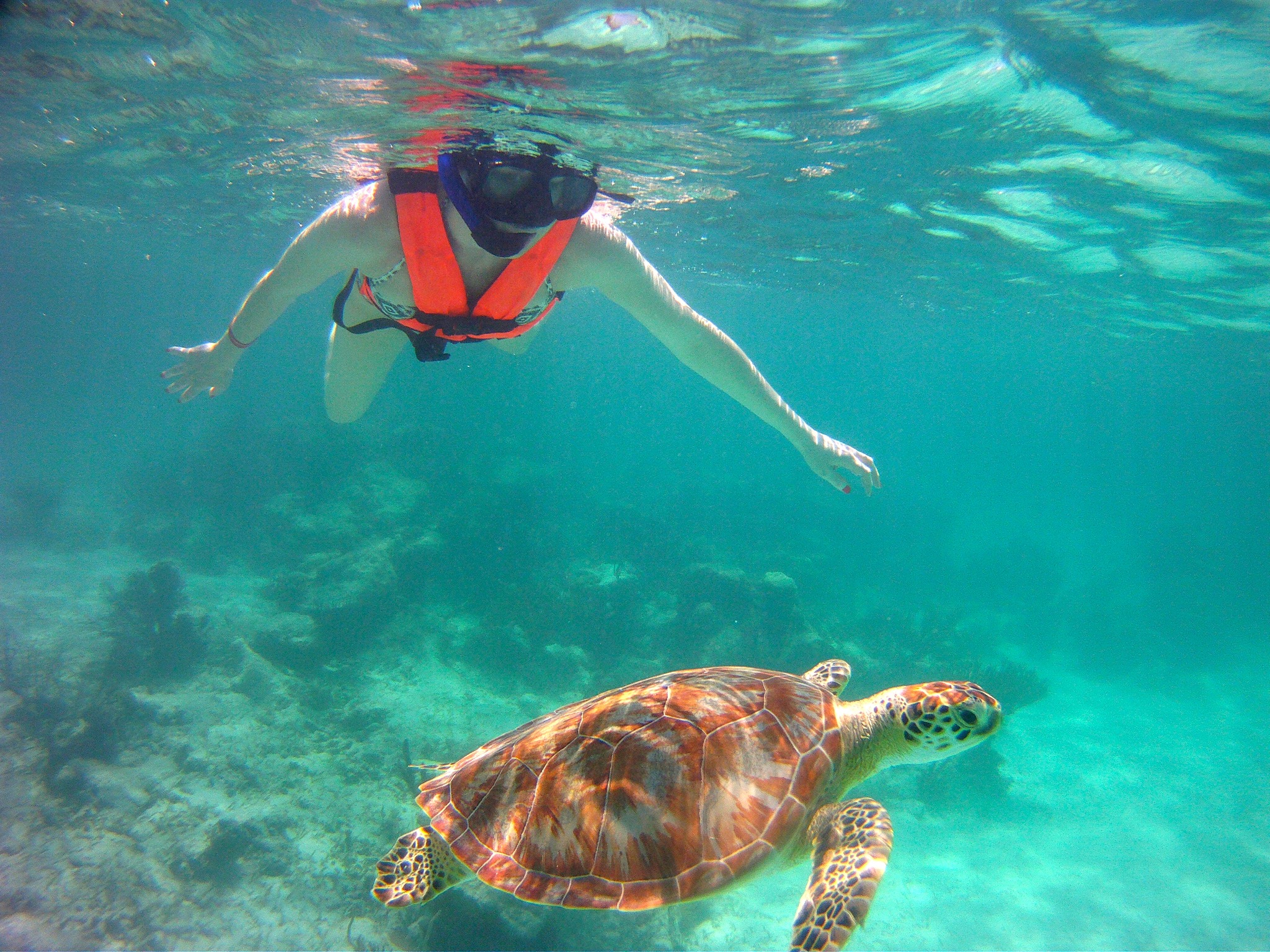 Akumal