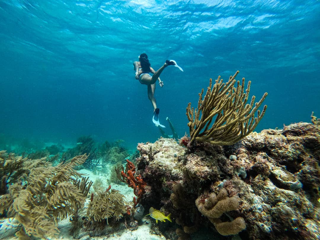 Puerto Morelos reef