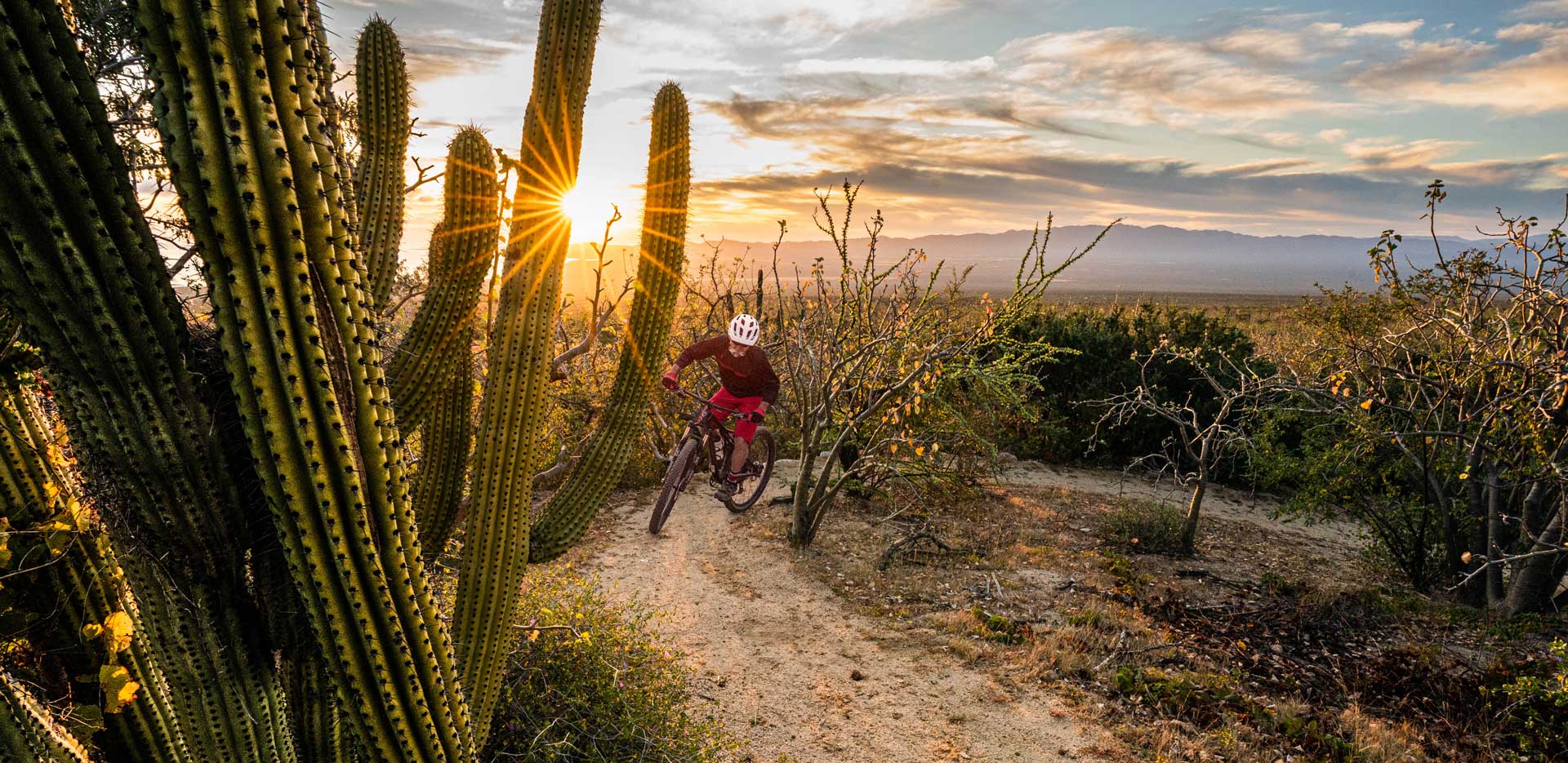 Biking Mountains Los Cabos
