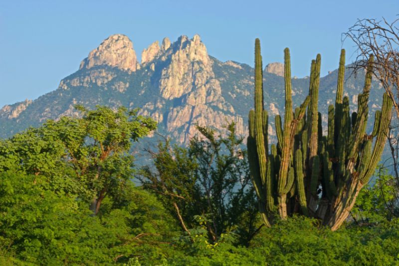 Sierra Madre Mountains Puerto Vallarta