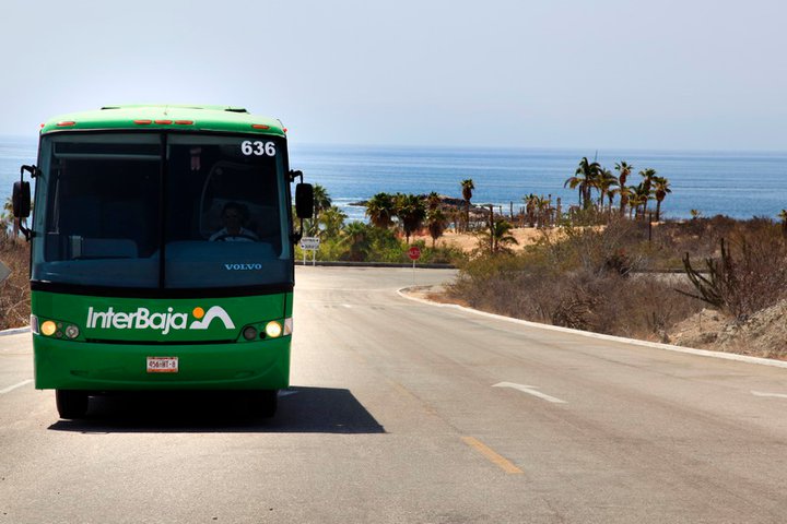 Buses Cabo San Lucas
