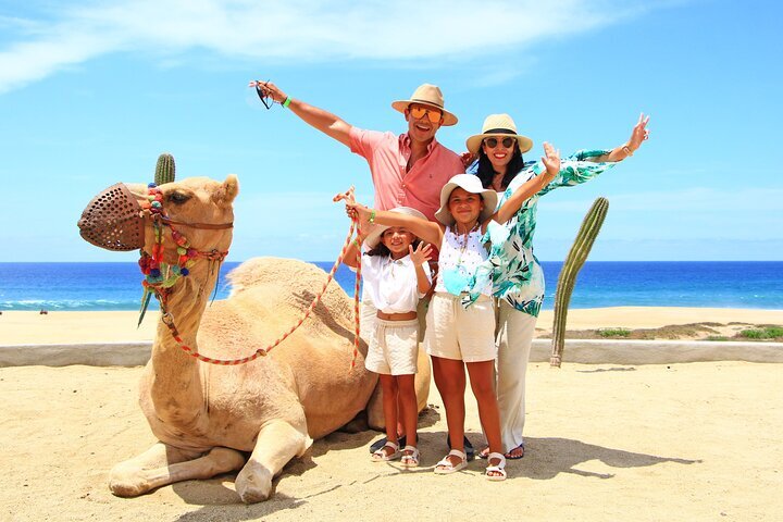 Camel Ride