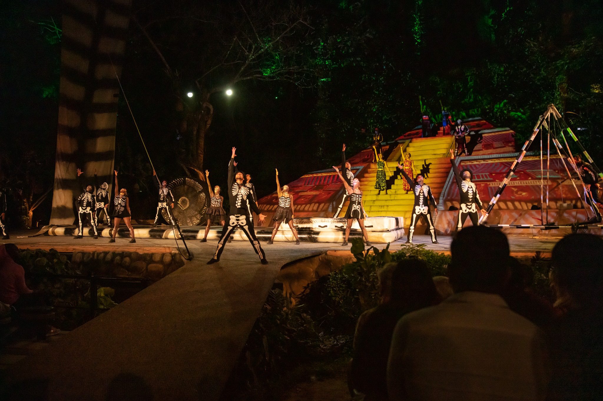 Rhythms of the Night