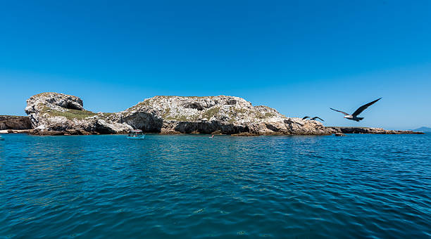 Marietas Islands Marine REserve