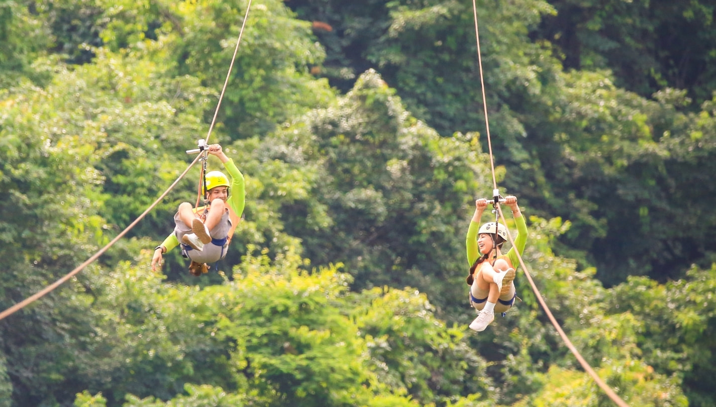 Canopy and Zipline