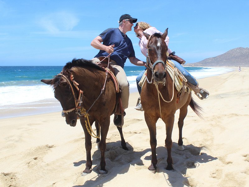 Tours Certification Tours