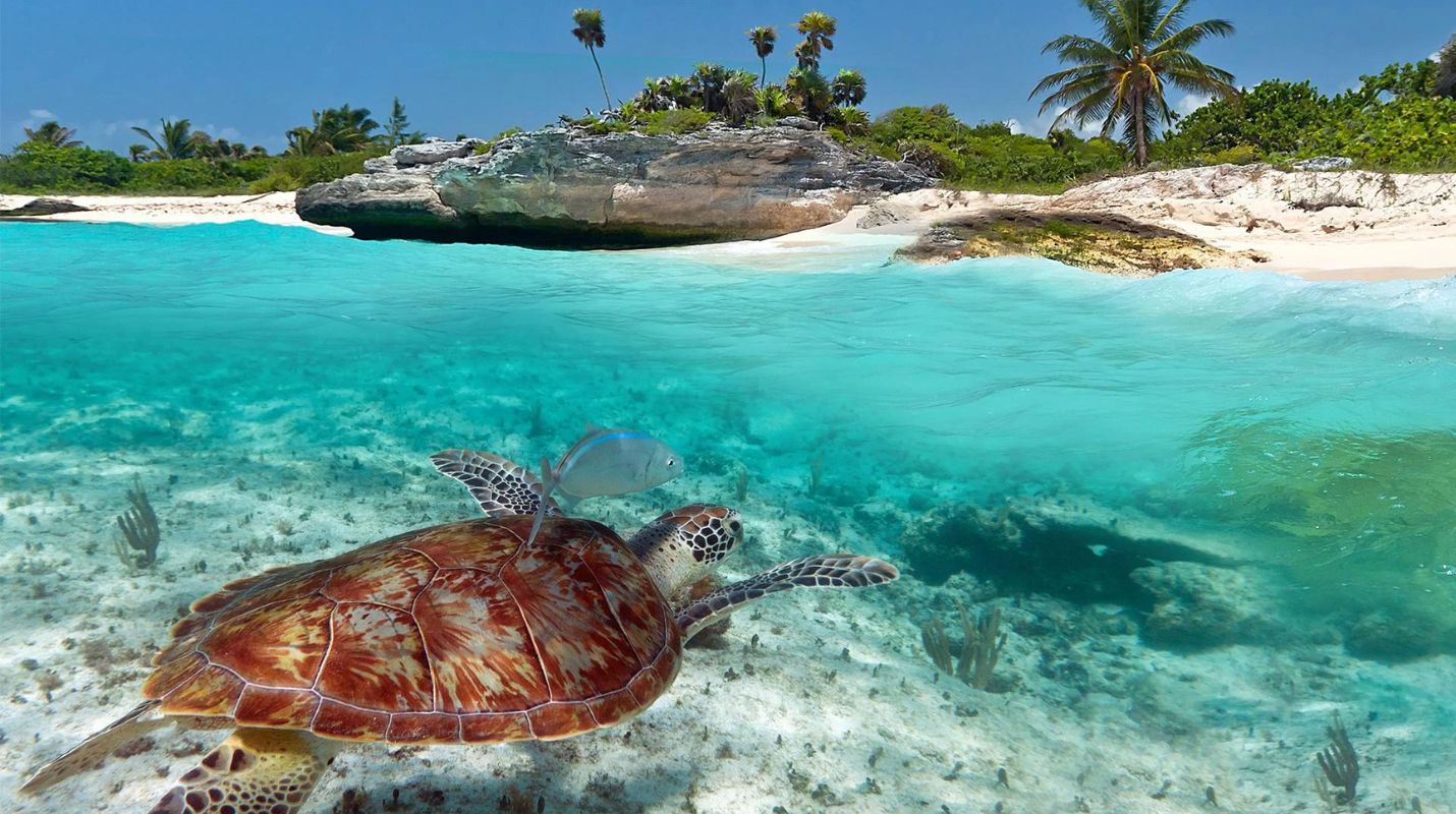 Qué visitar en Playa del Carmen en 2026