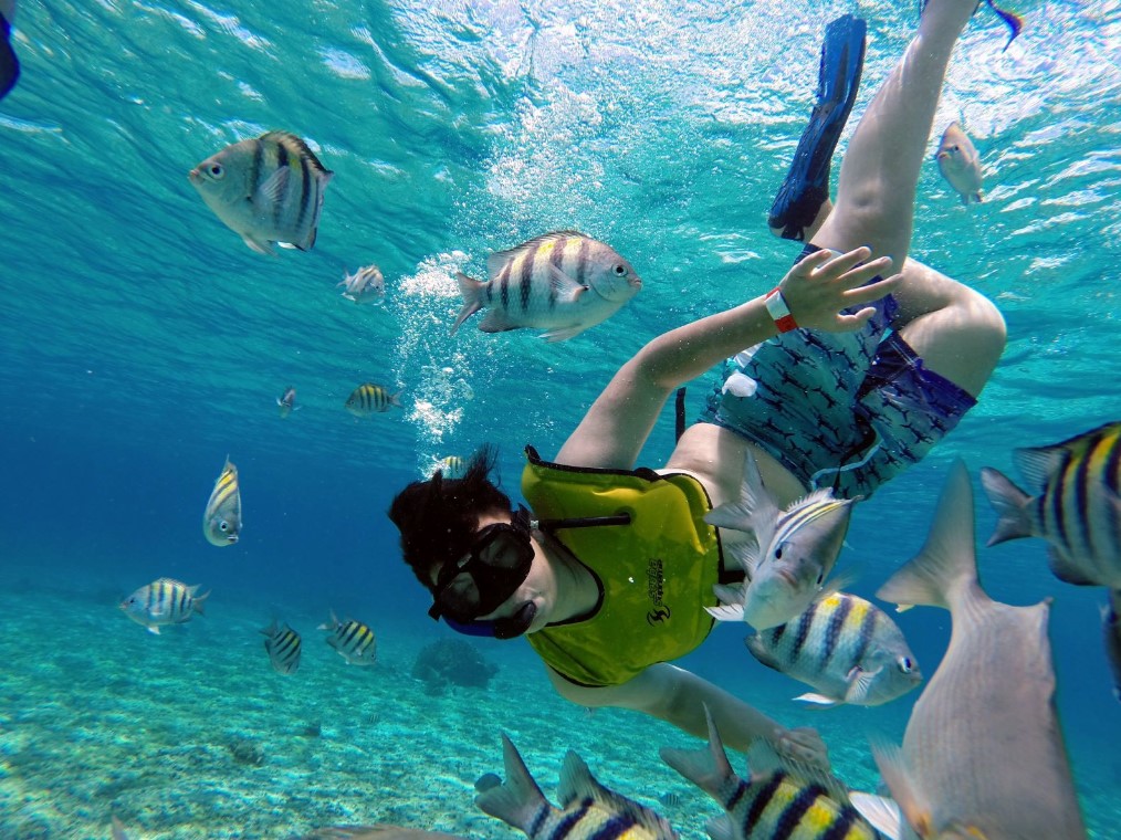 World Best Places to Snorkel | Where are the most snorkelable waters