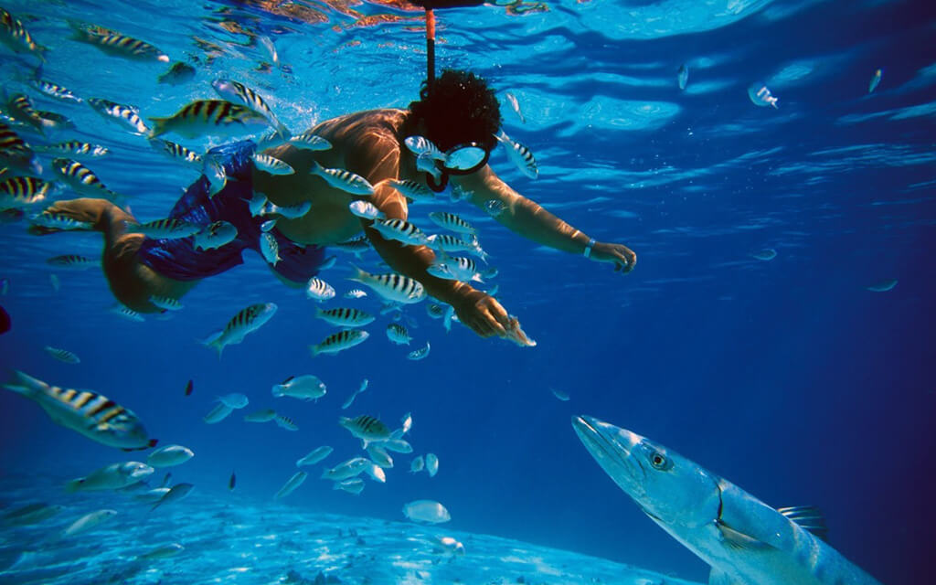 snorkel tours in cancun mexico